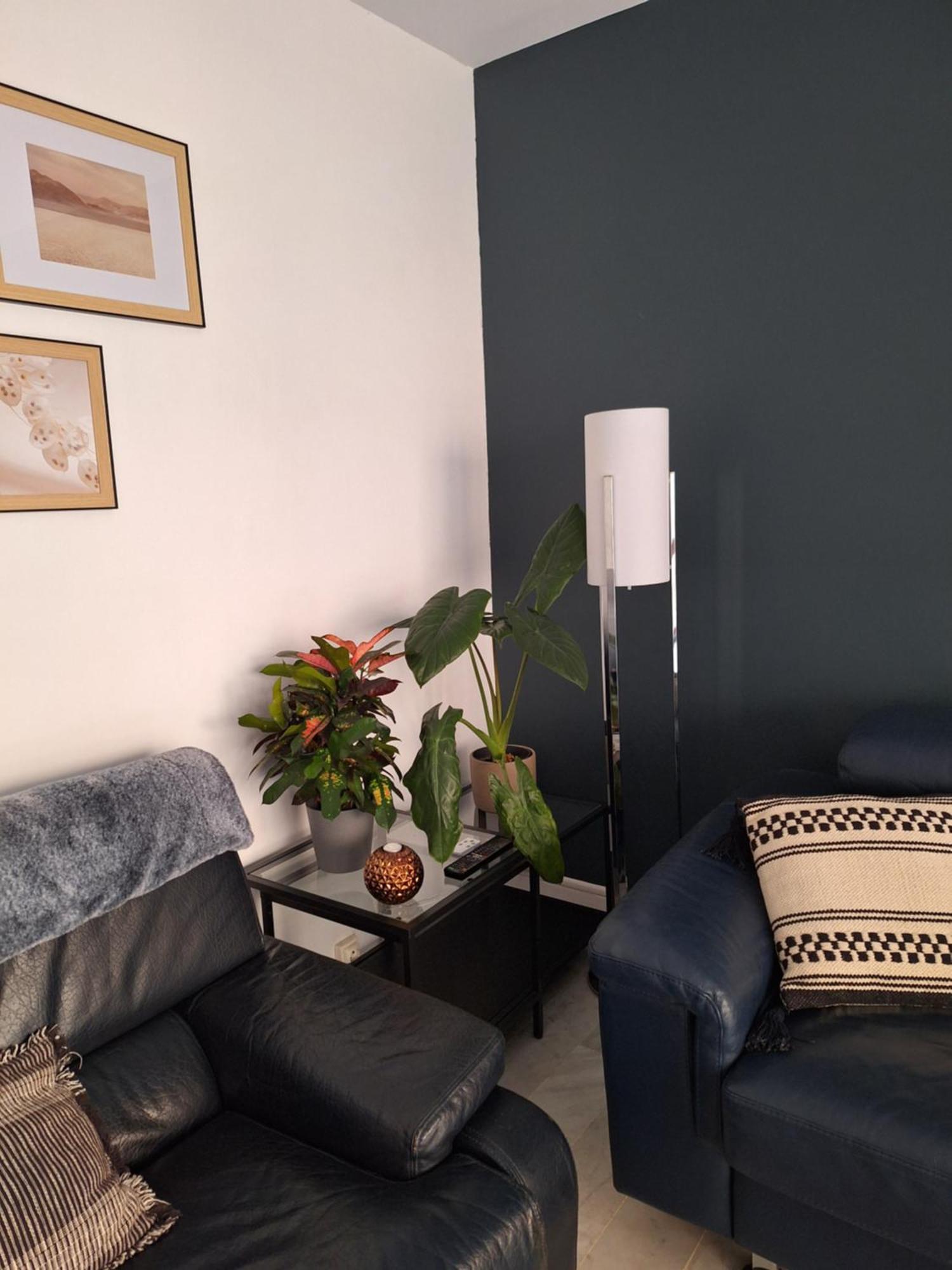 Appartement T3 Plein Centre Saint-Raphaël 외부 사진